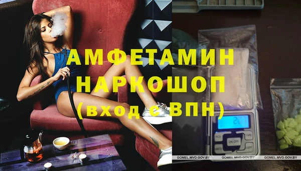 индика Новый Уренгой