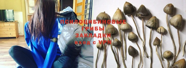 мескалин Верхний Тагил